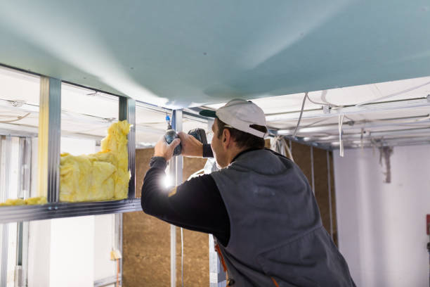 Best Insulation Contractors for Homes  in Austin, TX
