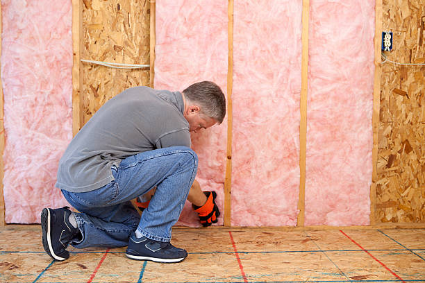Best Professional Insulation Contractor  in Austin, TX