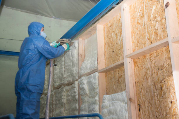 Best Home Insulation Services  in Austin, TX
